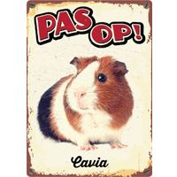 Plenty Gifts Bord Blik Cavia (v)