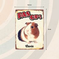 Plenty Gifts Bord Blik Cavia (v)