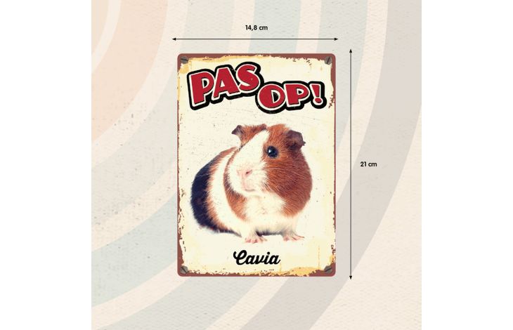 Plenty Gifts Bord Blik Cavia (v)