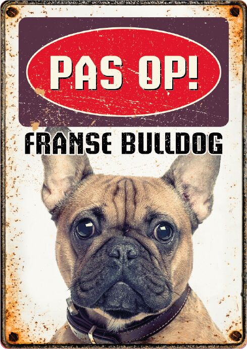 Plenty Gifts Bord Blik Franse Bulldog (v)