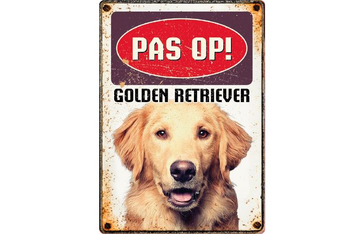 Plenty Gifts Bord Blik Golden Retriever (v)