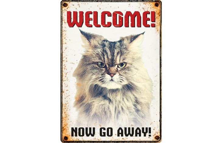 Plenty Gifts Sign Metal Cat Go Away (v)