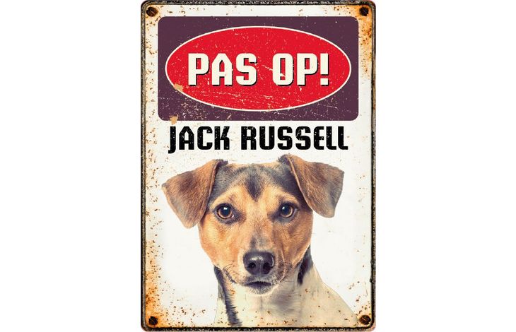 Plenty Gifts Bord Blik Jack Russell (v)
