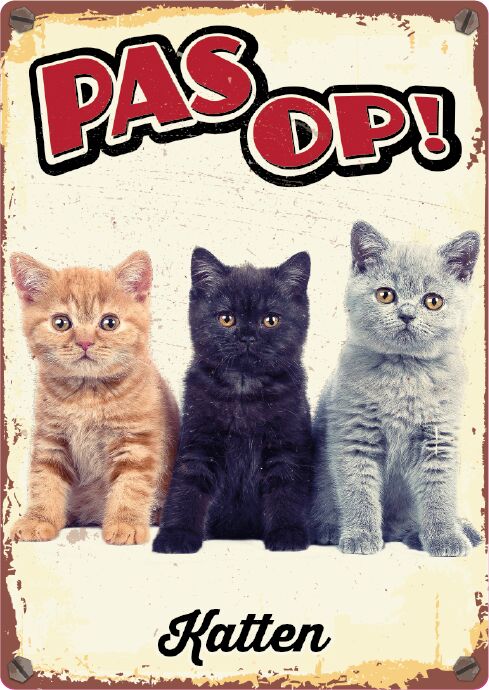 Plenty Gifts Bord Blik Katten (v)