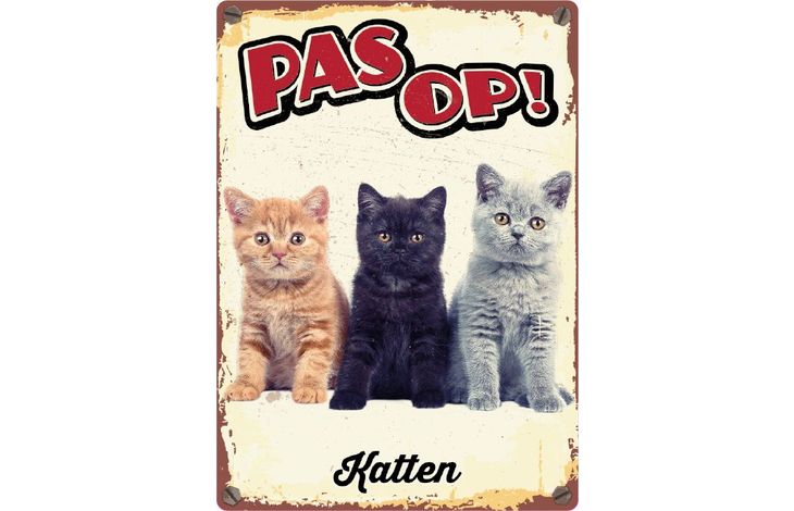 Plenty Gifts Bord Blik Katten (v)