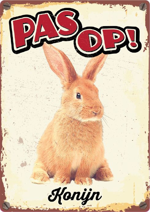 Plenty Gifts Bord Blik Konijn (v)