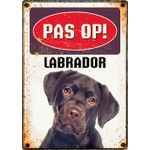 Bord Blik Labrador (v)