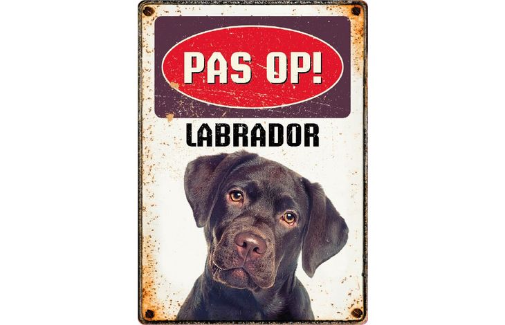 Plenty Gifts Bord Blik Labrador (v)