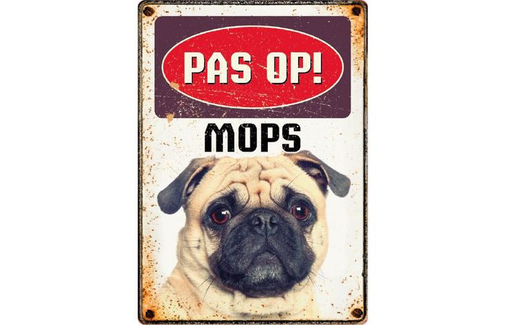 Plenty Gifts Bord Blik Mops (v)