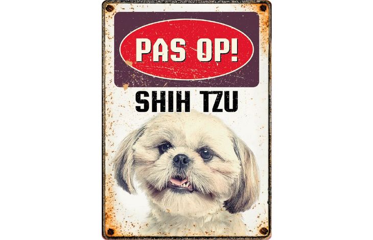 Plenty Gifts Bord Blik Shih Tzu (v)