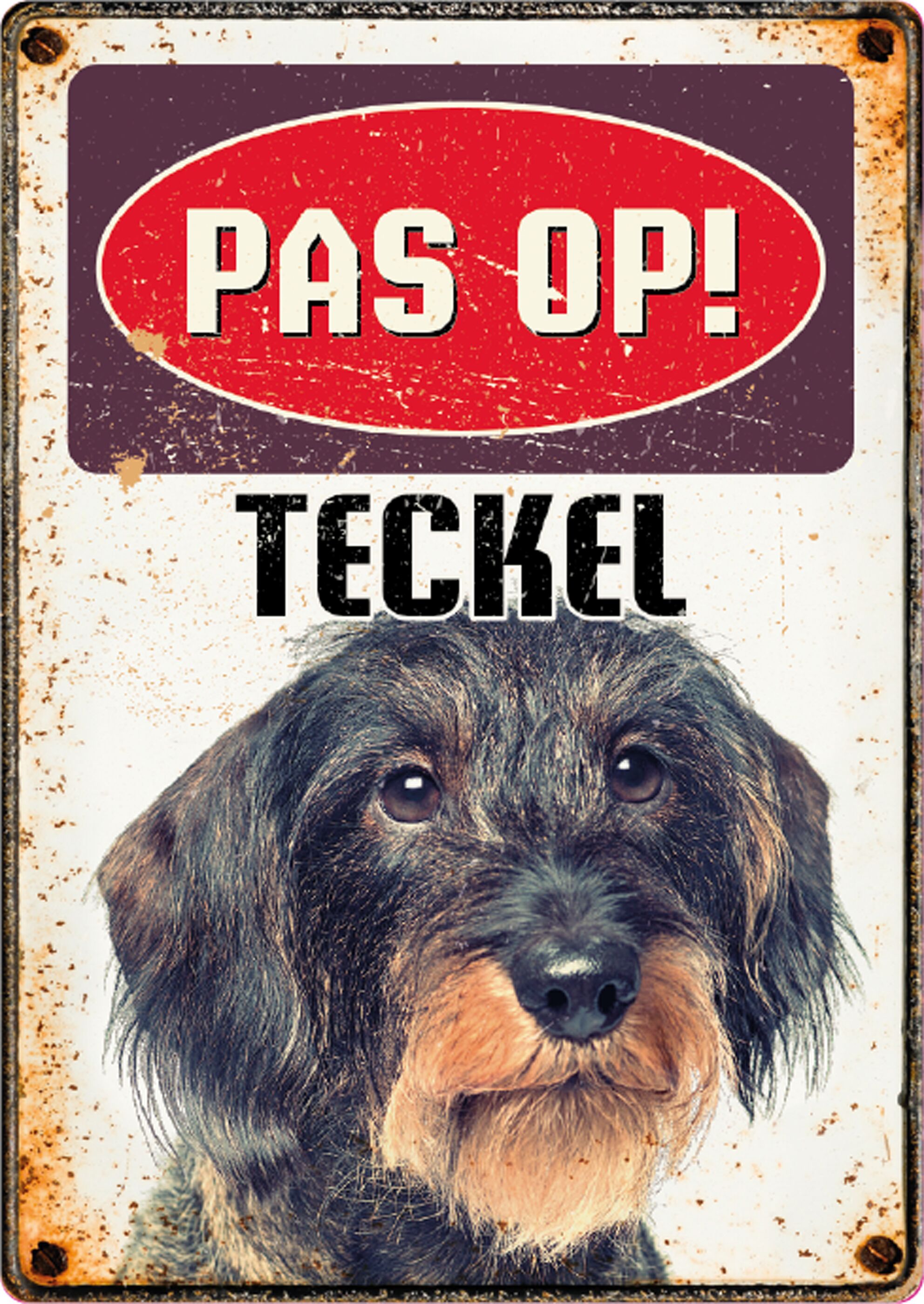 Plenty Gifts Bord Blik Teckel (v)