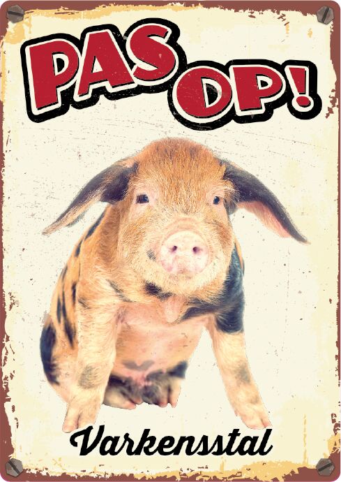 Plenty Gifts Bord Blik Varkensstal (v)