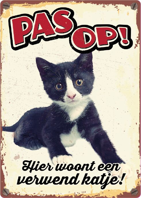 Plenty Gifts Bord Blik Verwend Katje (v)