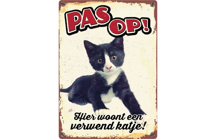 Plenty Gifts Bord Blik Verwend Katje (v)