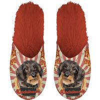 Plenty Gifts Slipper Dachshund 39-42