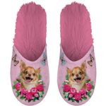 Slipper Chihuahua 39-42