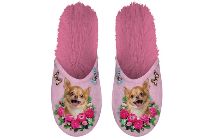 Plenty Gifts Slipper Chihuahua 39-42