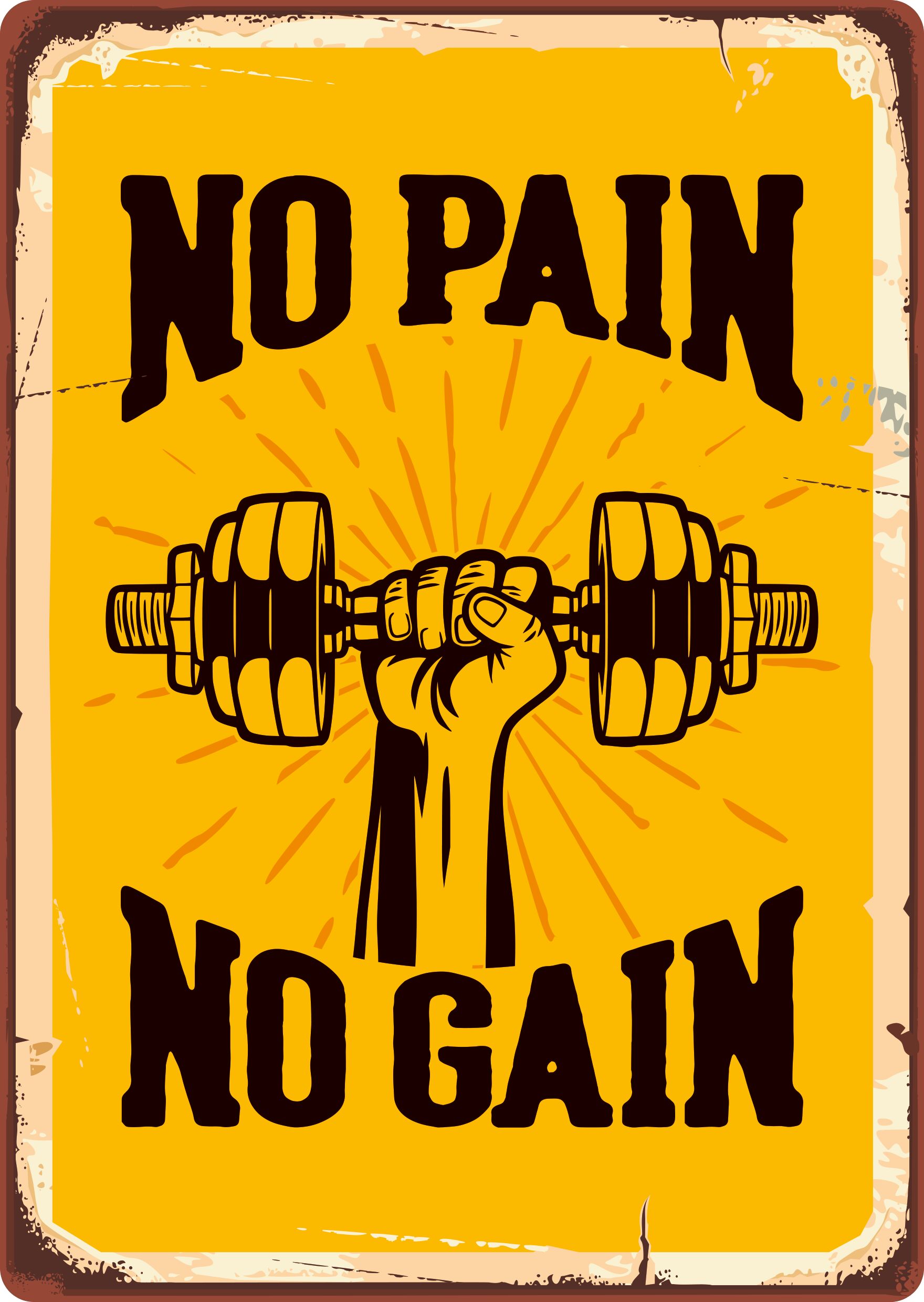 Plenty Gifts Sign Metal No Pain No Gain (v)