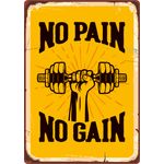 Sign Metal No Pain No Gain (v)