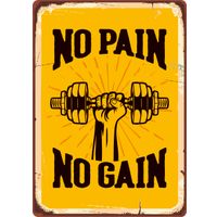 Plenty Gifts Sign Metal No Pain No Gain (v)