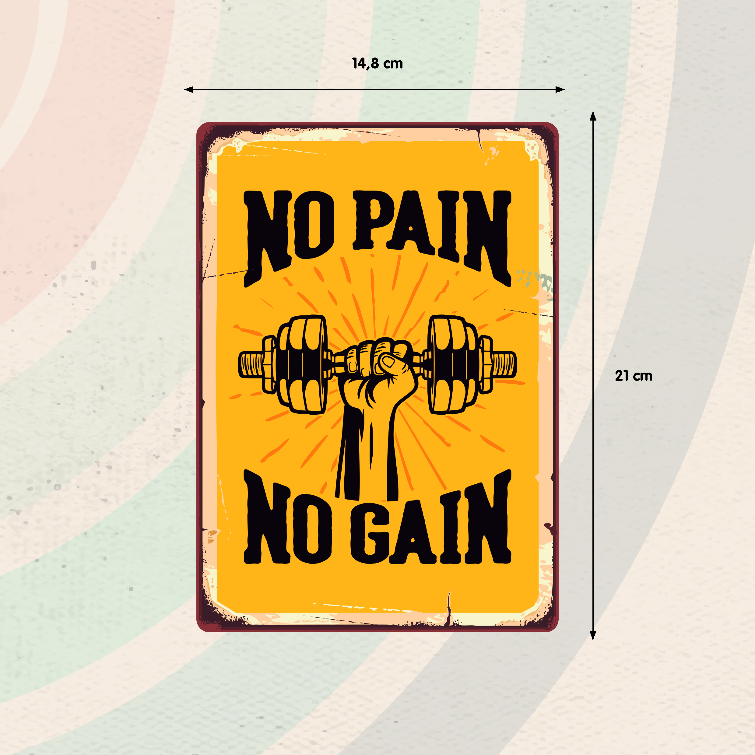 Plenty Gifts Sign Metal No Pain No Gain (v)