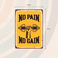 Plenty Gifts Sign Metal No Pain No Gain (v)