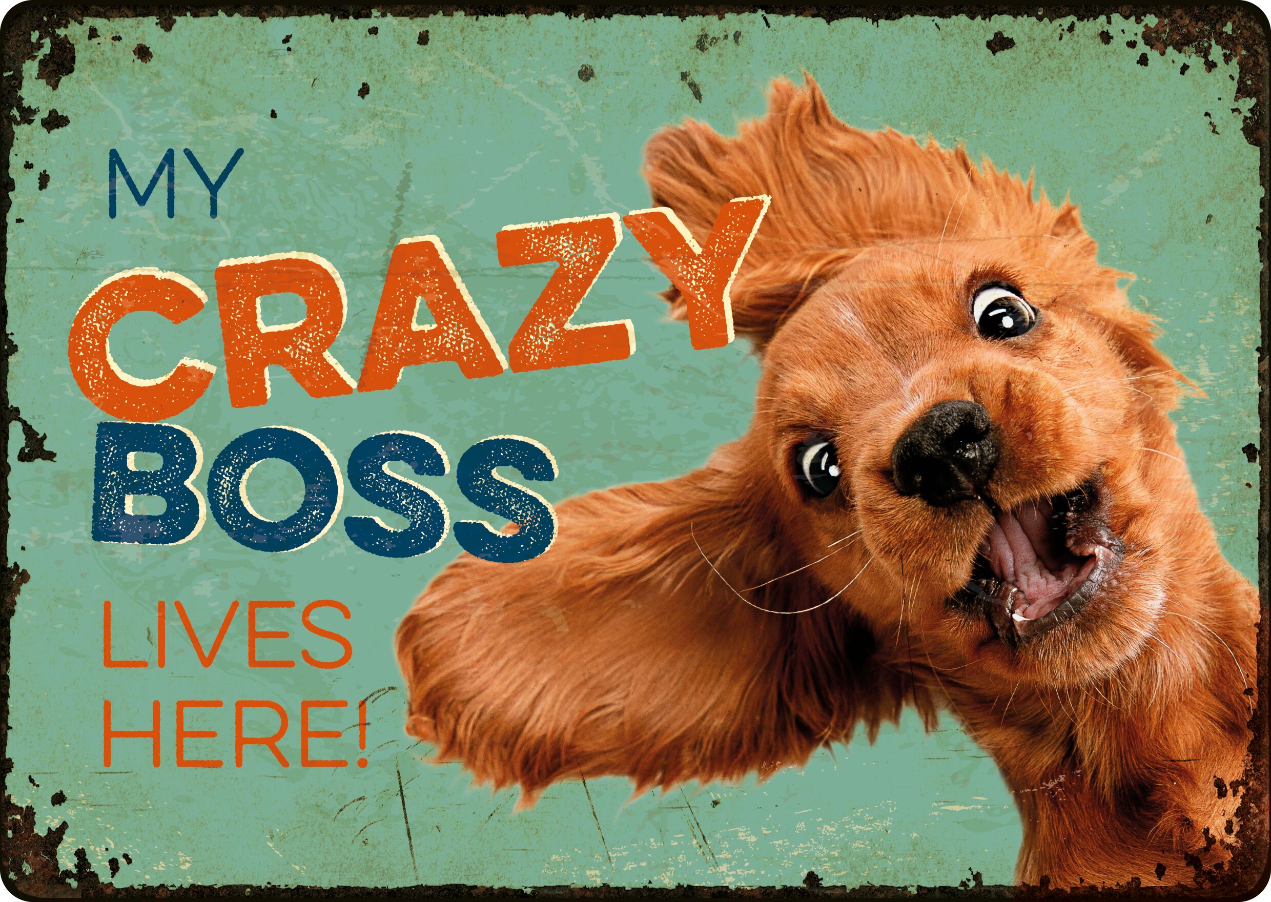 Plenty Gifts Sign Metal Crazy Boss (h)