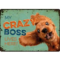Plenty Gifts Sign Metal Crazy Boss (h)