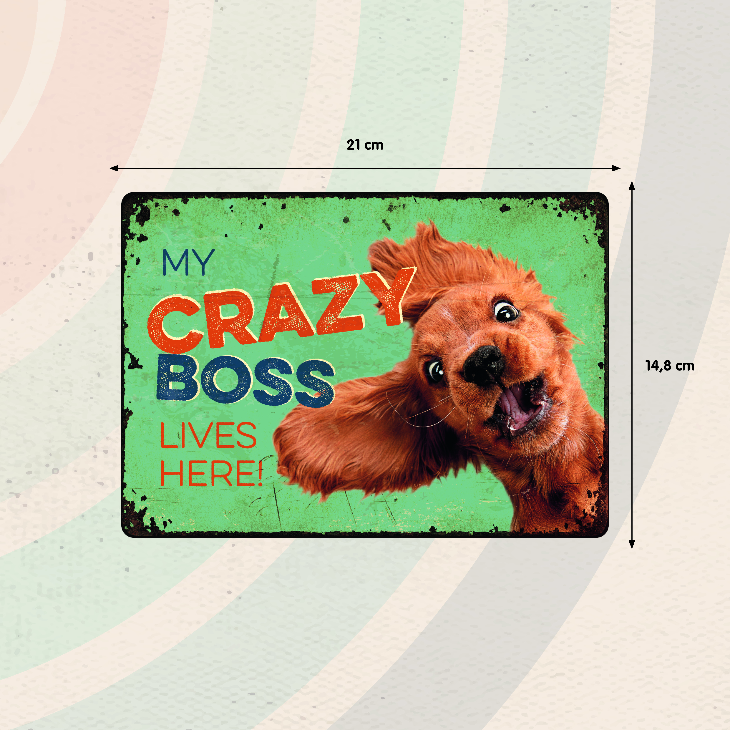 Plenty Gifts Sign Metal Crazy Boss (h)