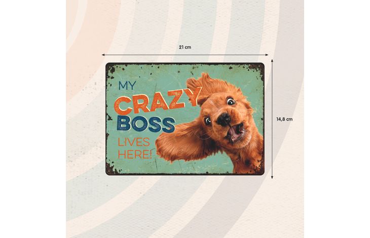 Plenty Gifts Sign Metal Crazy Boss (h)