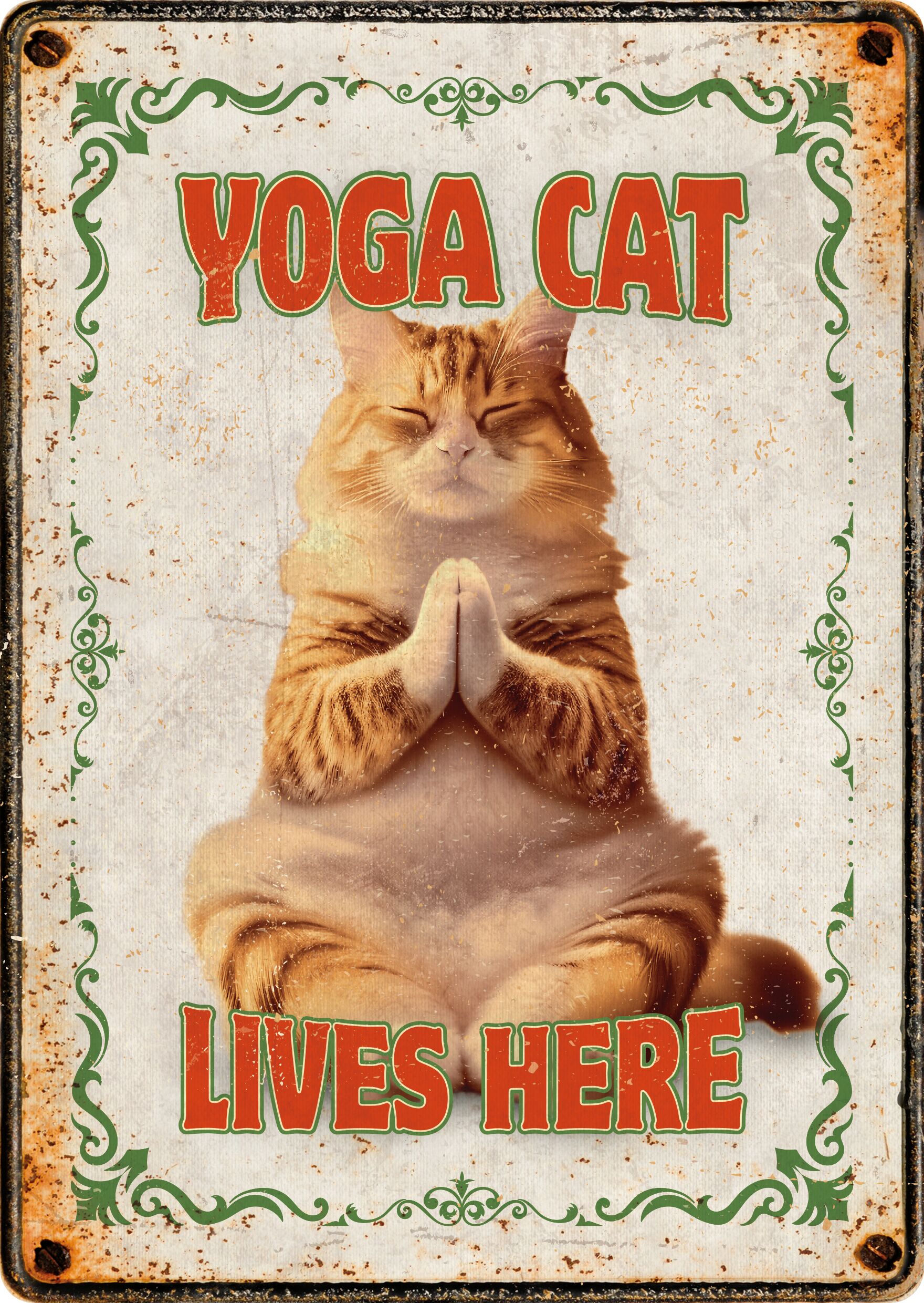 Plenty Gifts Sign Metal Yoga Cat (v)
