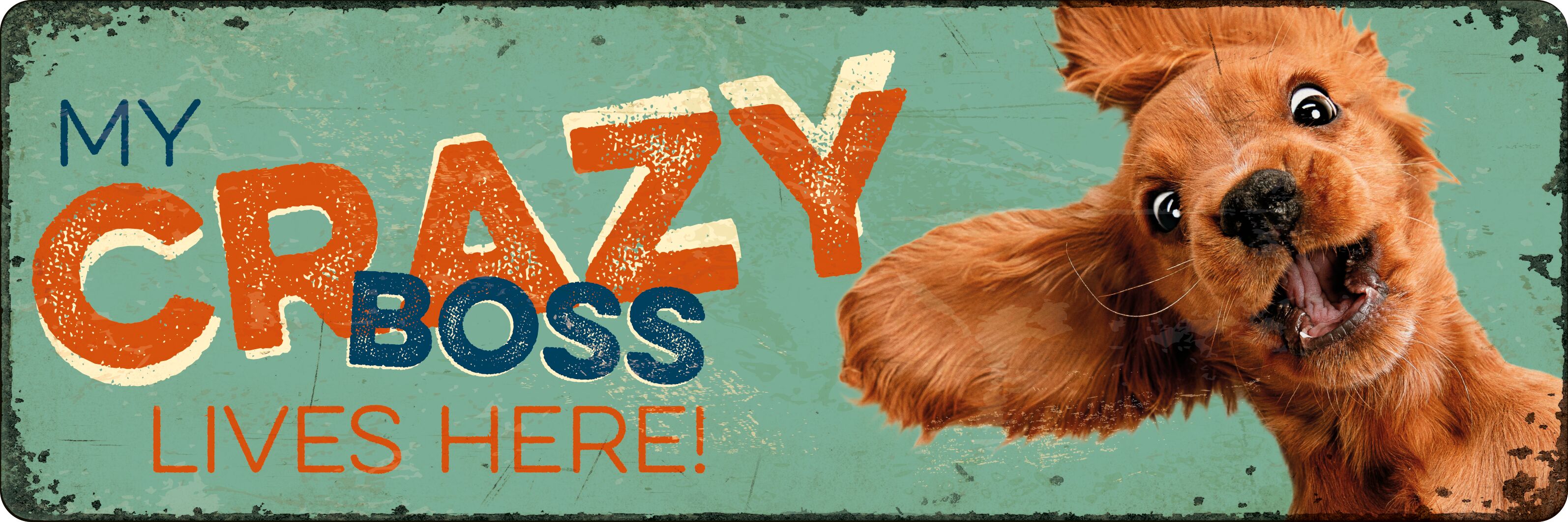 Plenty Gifts Sign Metal HM Crazy Boss