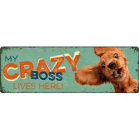 Plenty Gifts Sign Metal HM Crazy Boss