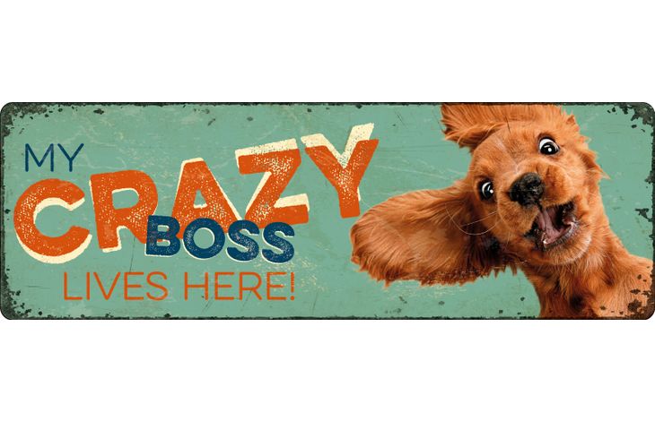 Plenty Gifts Sign Metal HM Crazy Boss