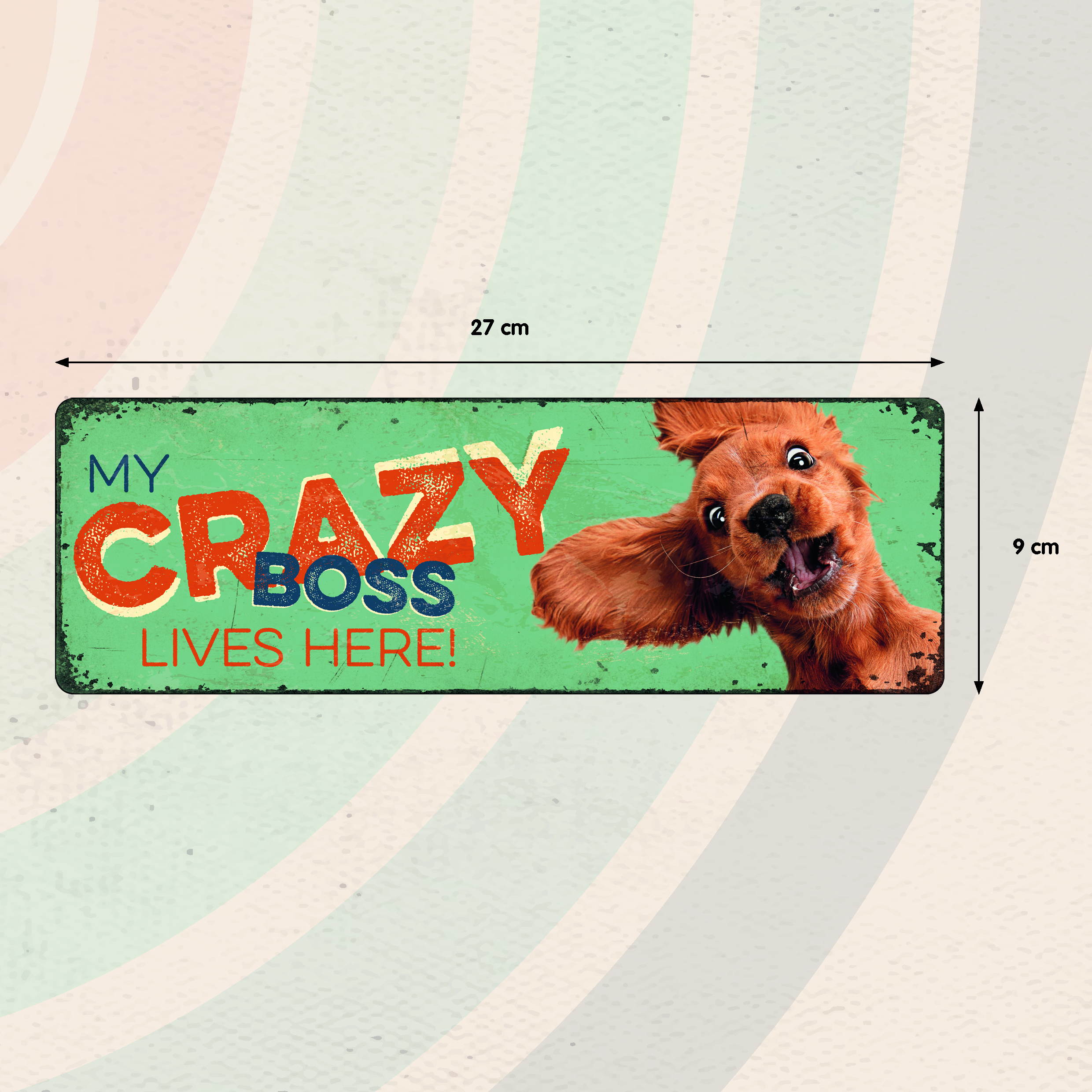 Plenty Gifts Sign Metal HM Crazy Boss