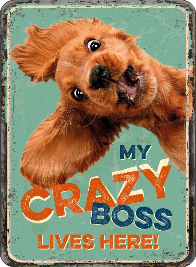 Plenty Gifts Magnet Crazy Boss