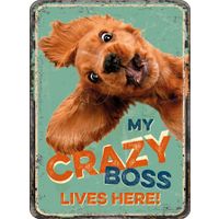 Plenty Gifts Magnet Crazy Boss