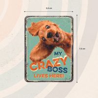 Plenty Gifts Magnet Crazy Boss