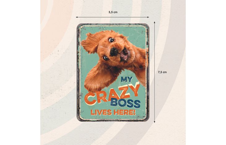 Plenty Gifts Magnet Crazy Boss