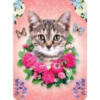 Plenty Gifts Magnet Cat