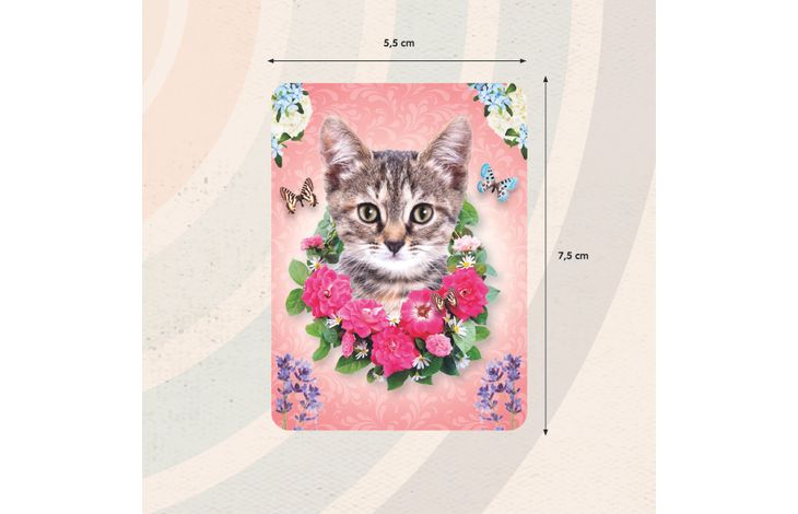 Plenty Gifts Magnet Cat