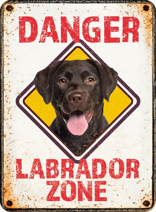 Plenty Gifts Magnet Danger Labrador Zone
