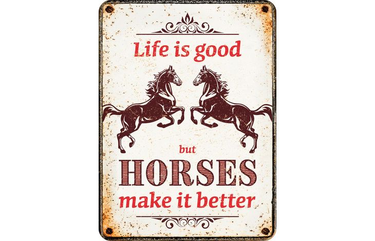 Plenty Gifts Magnet Life Is Good Horses