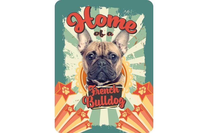 Plenty Gifts Magnet French Bulldog