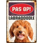 Bord Blik Labradoodle (v)