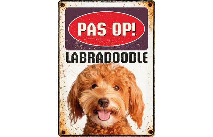 Plenty Gifts Bord Blik Labradoodle (v)