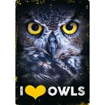 Bord blik I Love Owls (v)