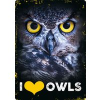 Plenty Gifts Bord blik I Love Owls (v)