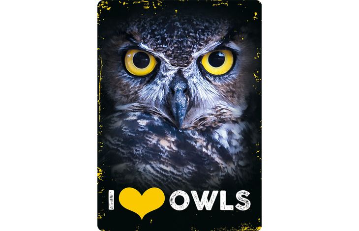 Plenty Gifts Bord blik I Love Owls (v)
