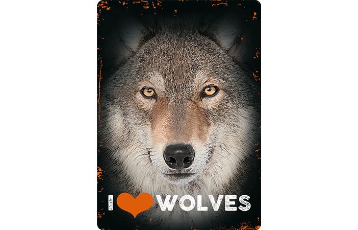 Plenty Gifts Bord blik I Love Wolves (v)